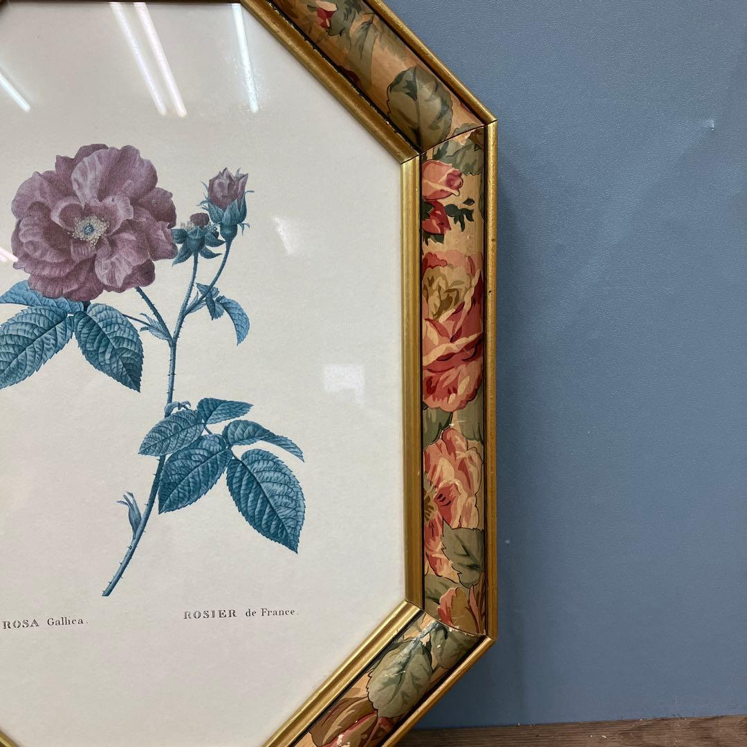 【イタリア製】ボタニカルアート 八角形 額縁 額装 薔薇 ロサ・ガリカ 花 絵画