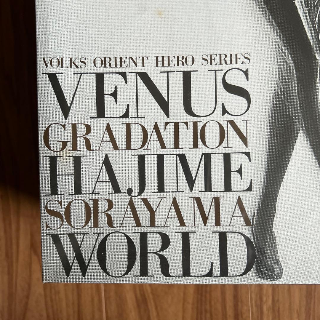 【激レア商品】VOLKS　ブラインドビューティー　1/4 空山基ガレージキット