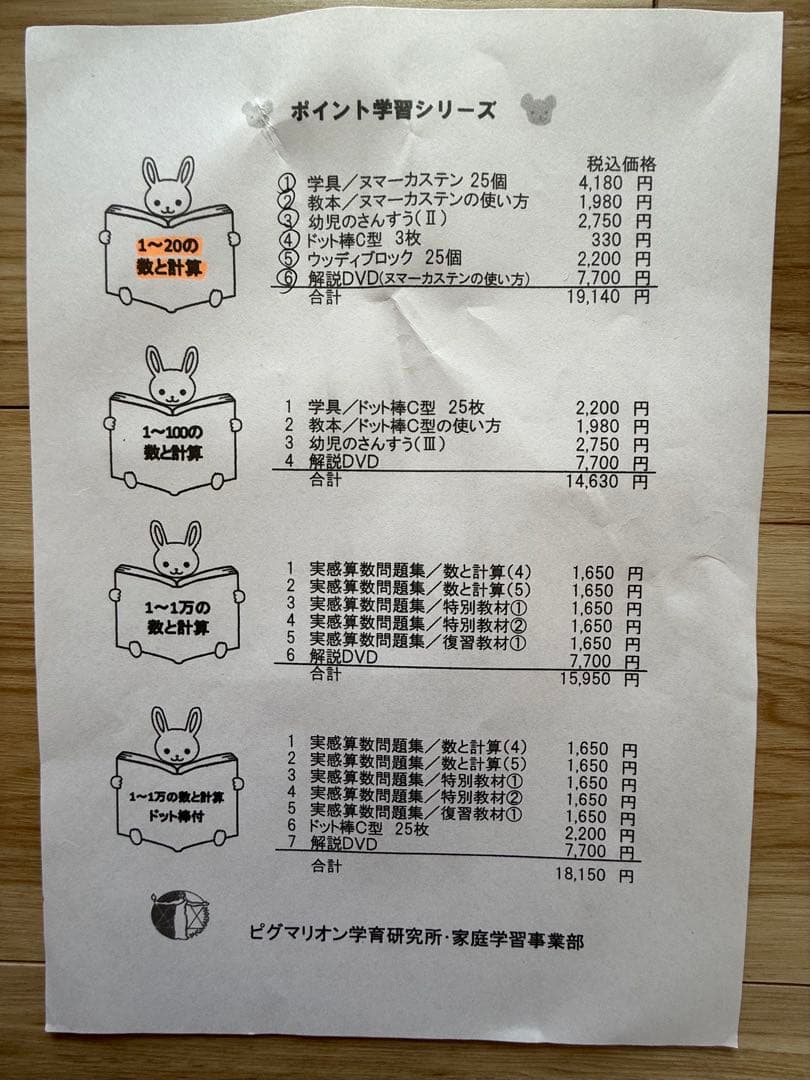 ピグマリオン学育研究所のヌマーカステン ウッディブロック他セット