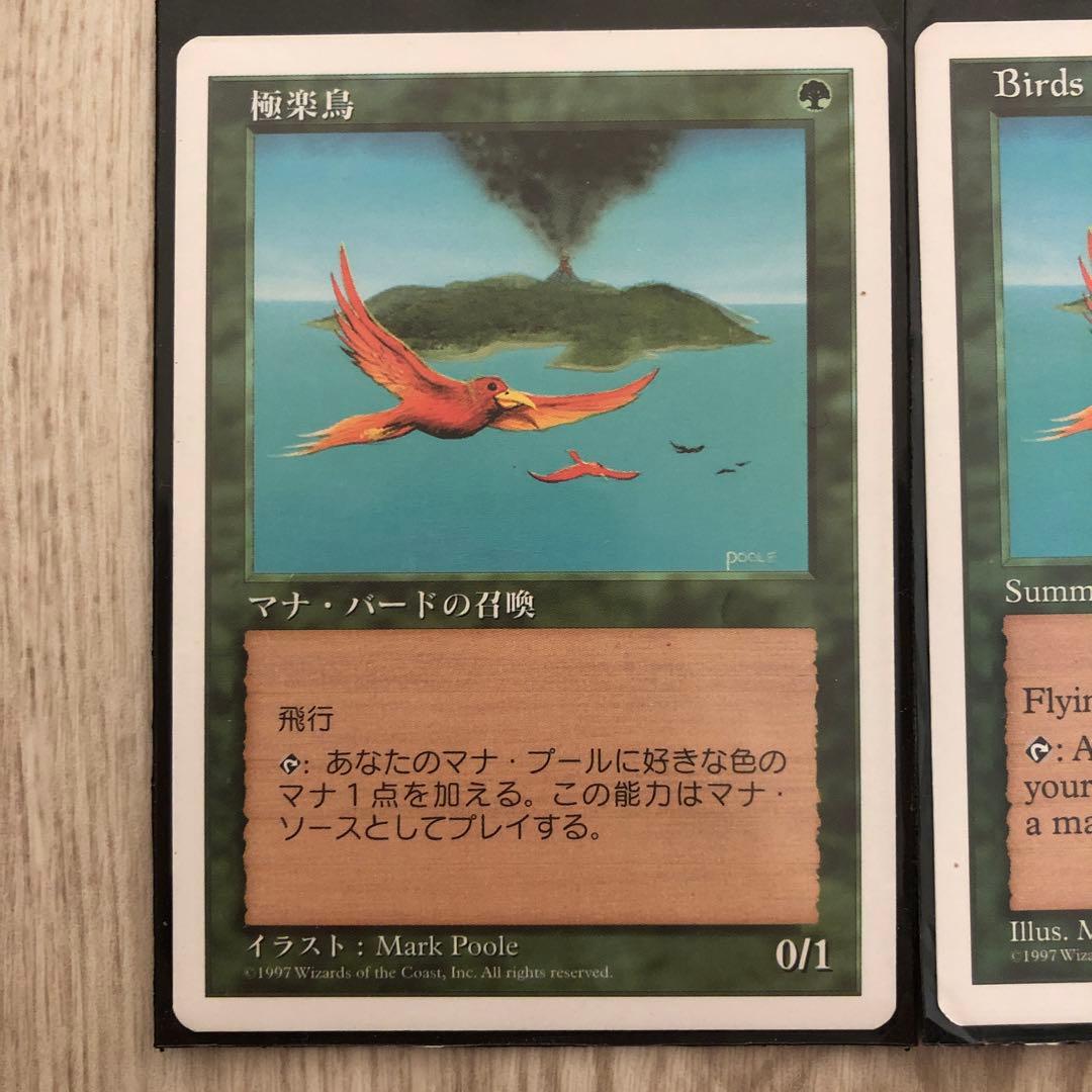 極楽鳥  白枠　4枚セット　マジックザギャザリング