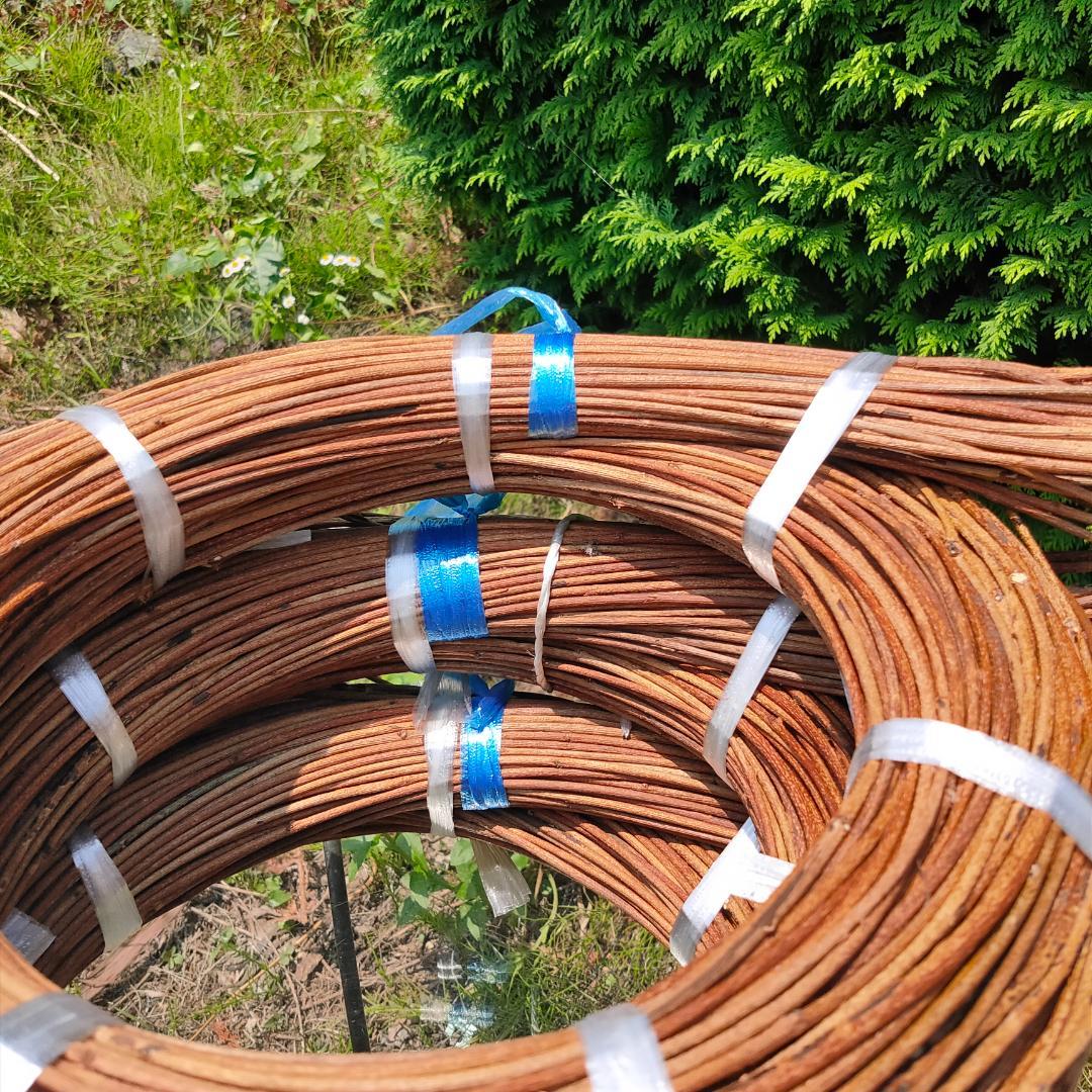 (委託品)青森県岩木山採取　あけび蔓　150cm～　3.2kg