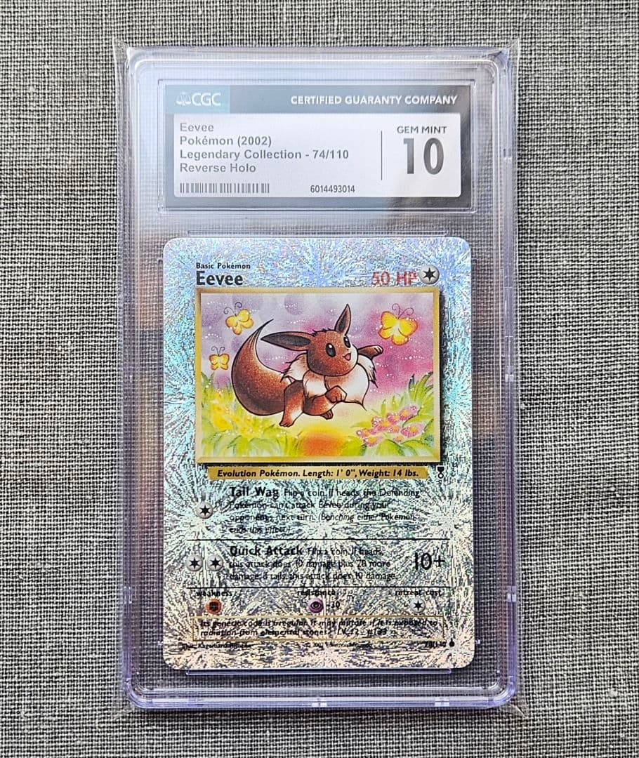 ※РОЗА プロフ必読※ ロベルトコイン銀座 | . GINZA TOMIYAで、ROBERTO COINポップアップ