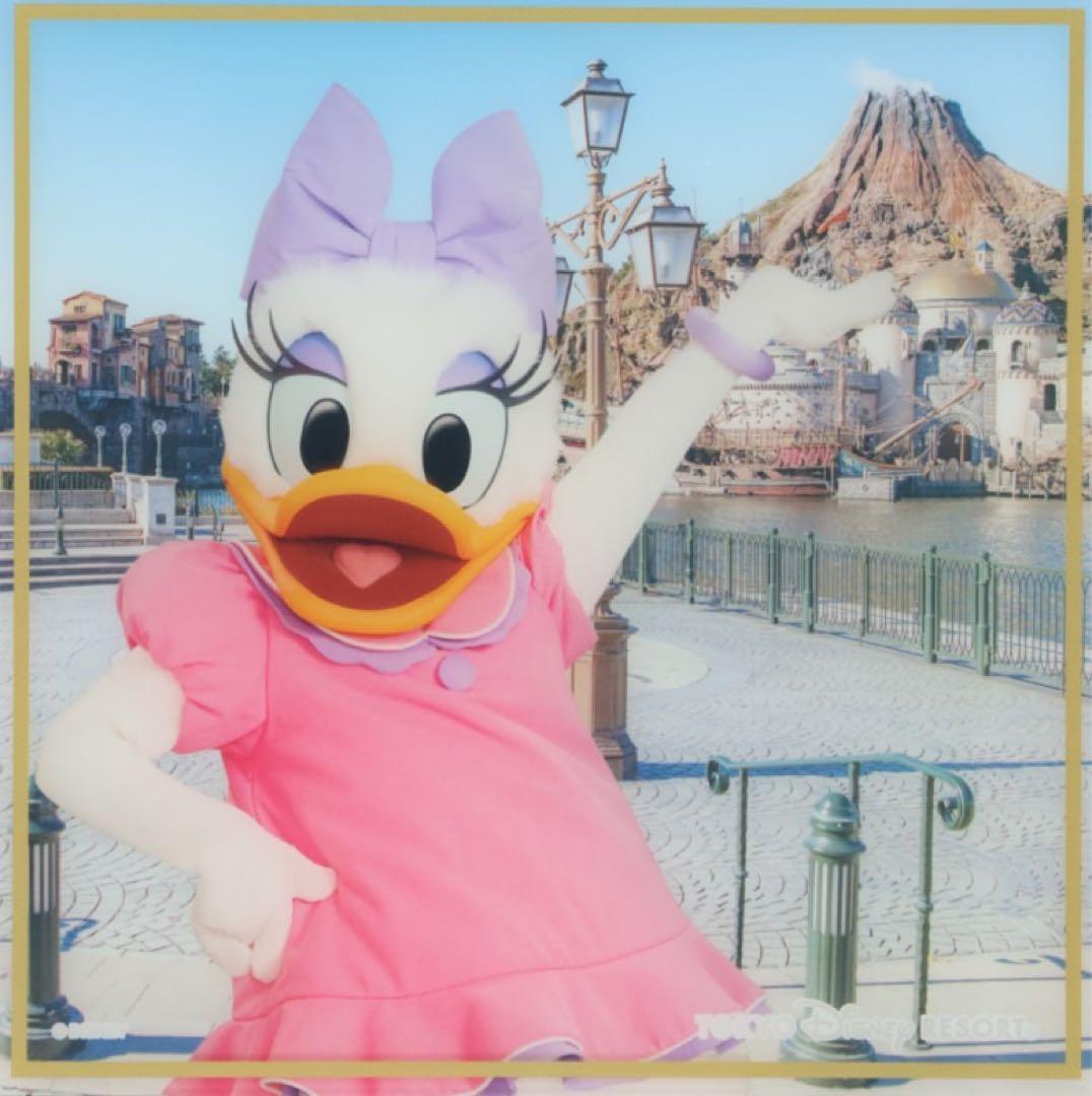 新品未開封】ディズニー サイン 色紙 ミッキー ミニー ドナルド