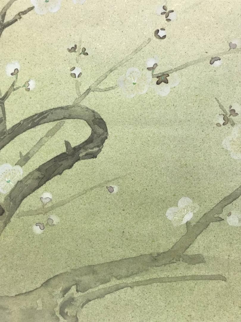 【真作】史朗/白梅図/梅花図/寿/掛軸/名家伝来/AC-202