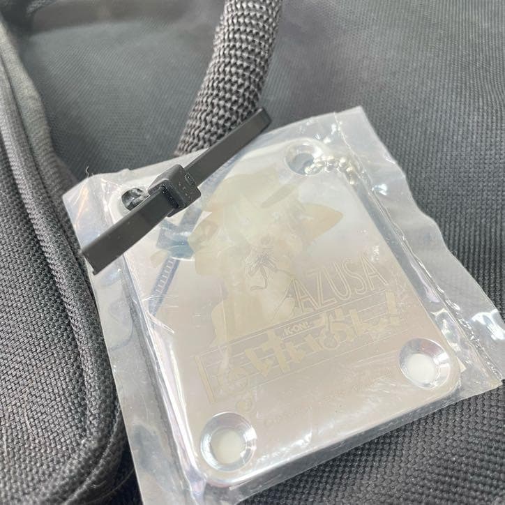 けいおん 中野梓 イシバシ楽器オリジナルギターケース - メルカリ