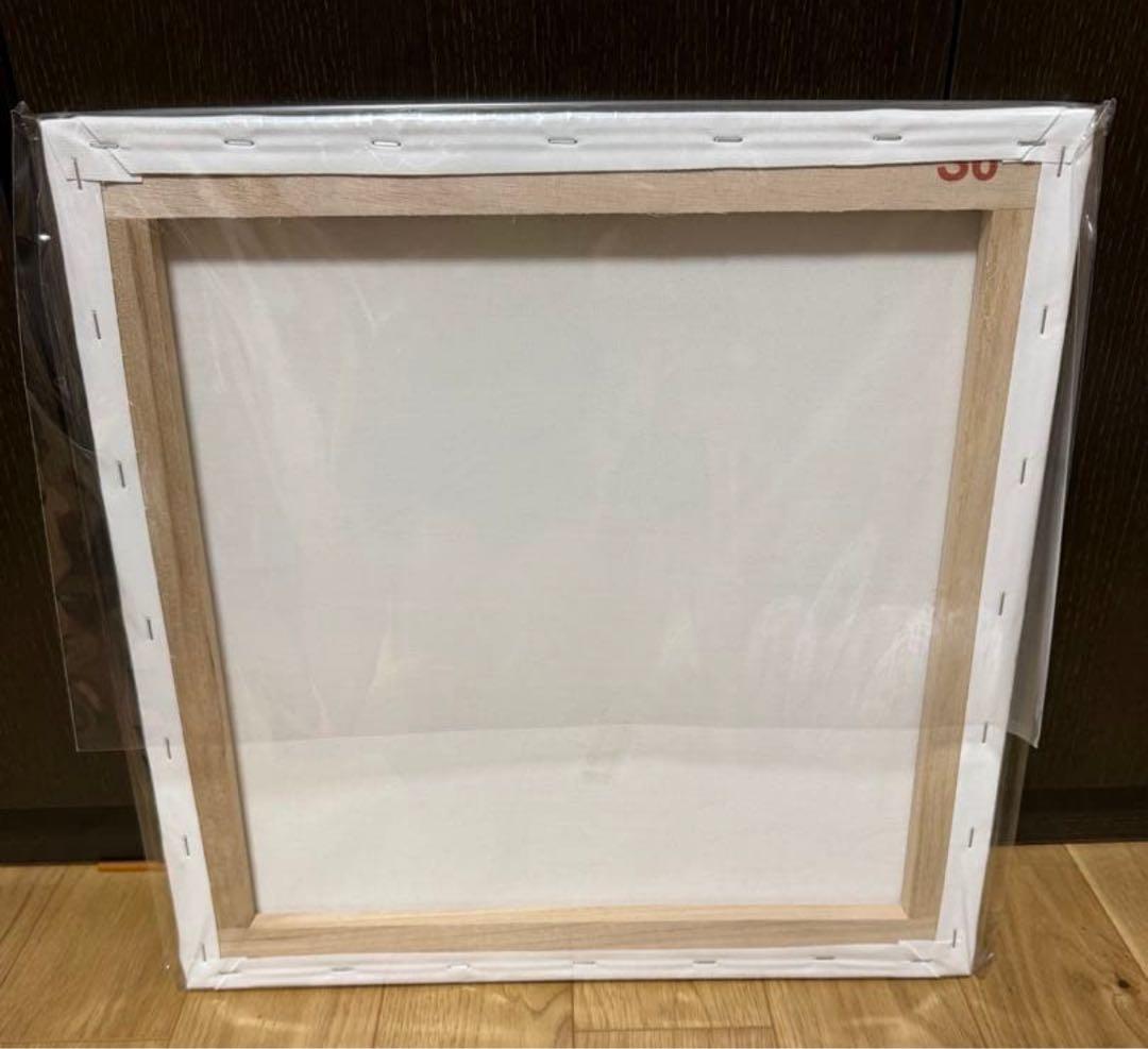 Hi-STANDARD キャンバス CANVAS ハイスタ　TM paint