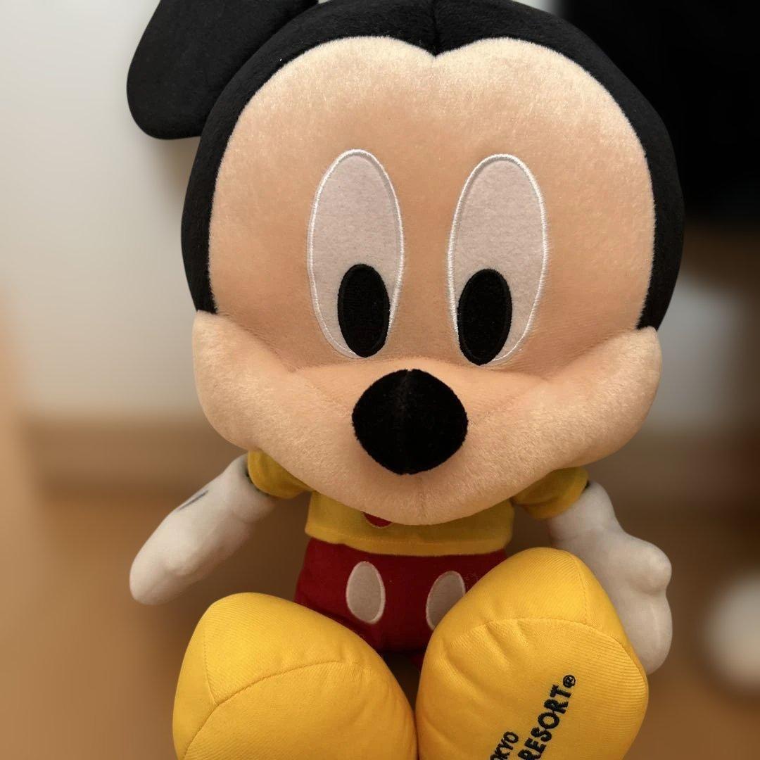 限定ミッキー・ミニー ぬいぐるみセット 30周年