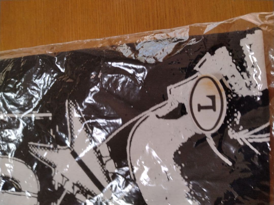 THE STARCLUB バンドT Tシャツ HIKAGE