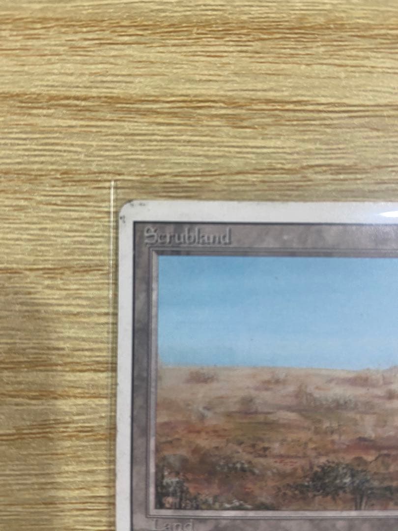 早いもの勝ち MTG Scrubland スクラブランド 3ED