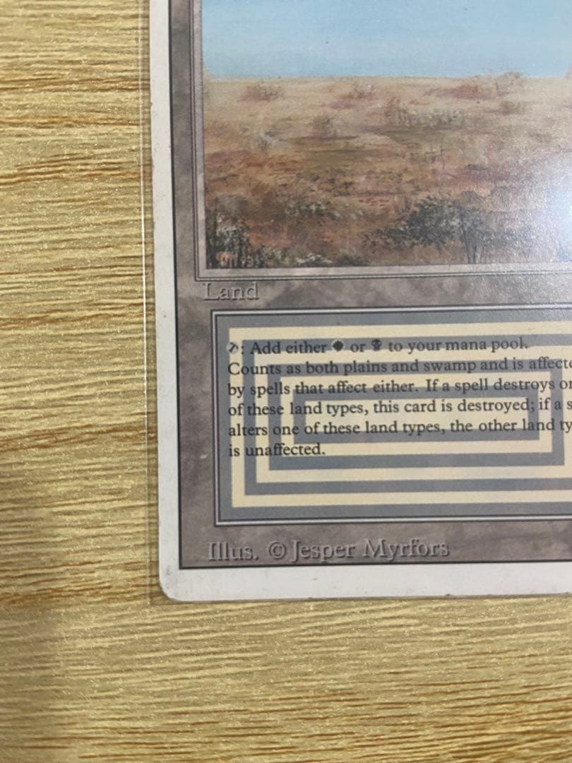 早いもの勝ち MTG Scrubland スクラブランド 3ED