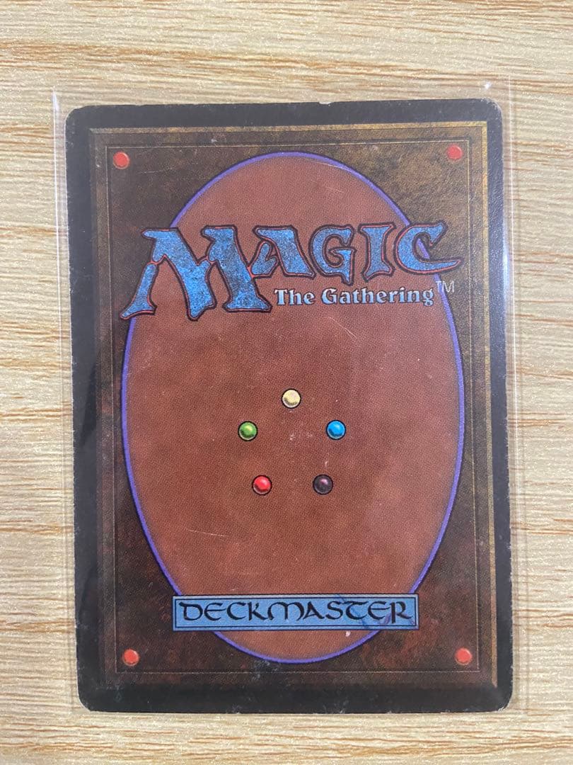 早いもの勝ち MTG Scrubland スクラブランド 3ED