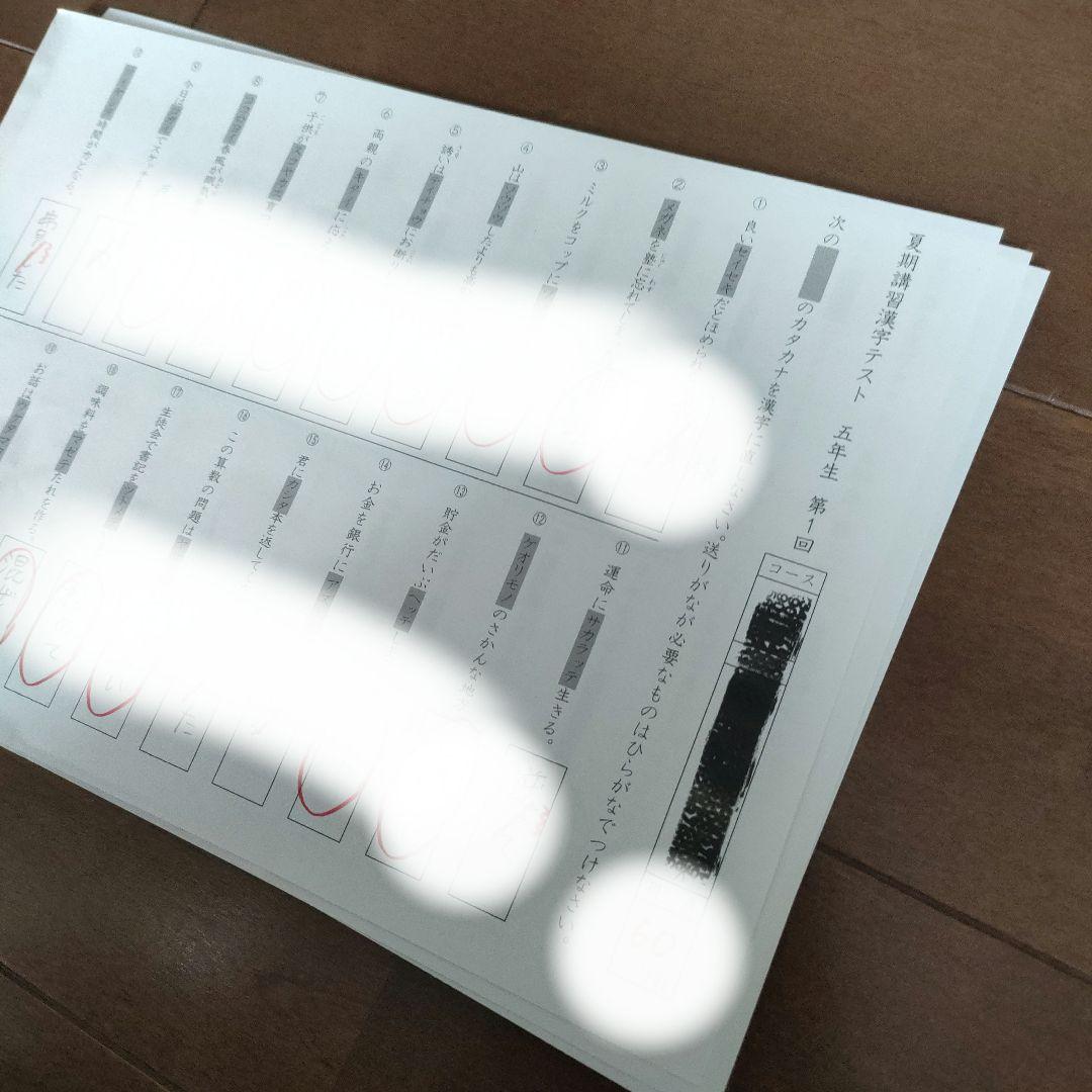 SAPIX 小学5年 国語 デイリー&春期＆夏期＆冬期セット 2022年度版