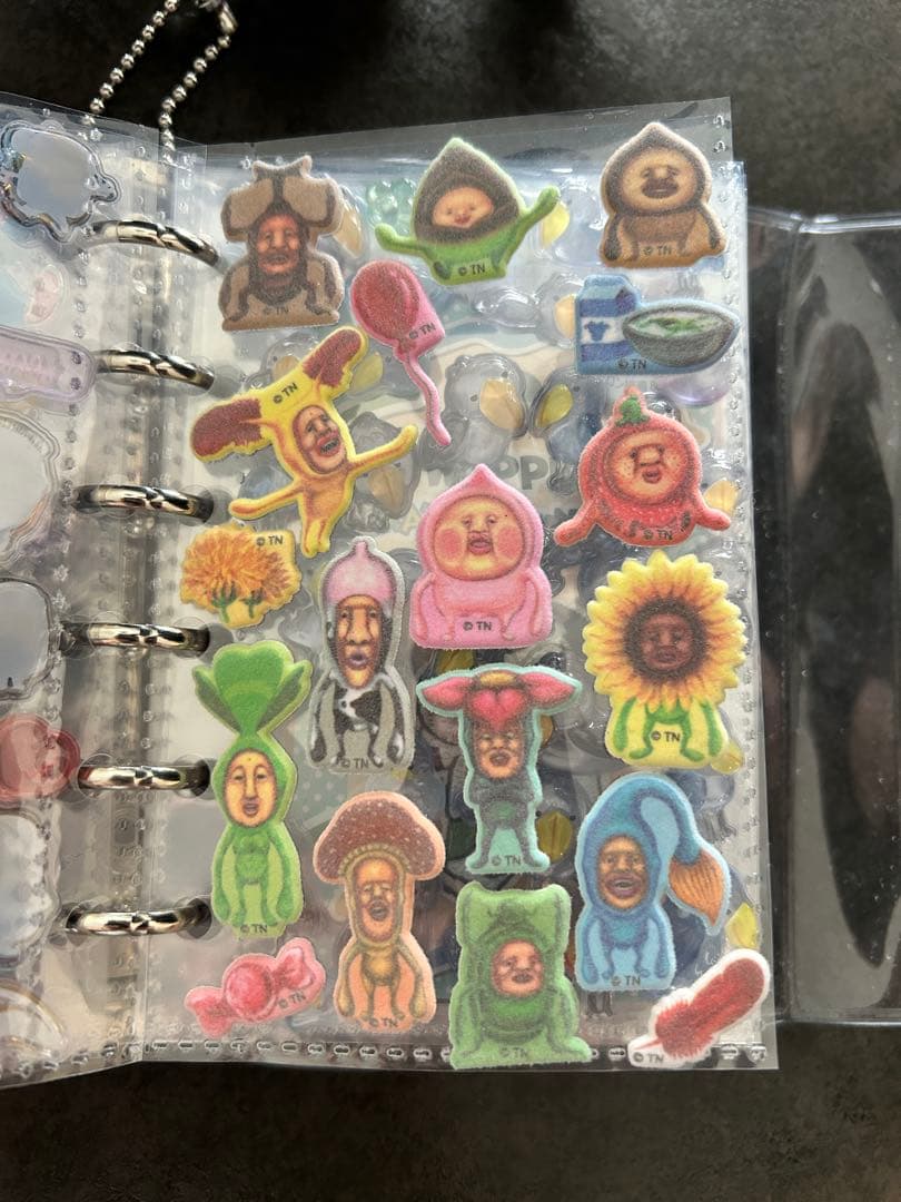 シール帳まとめ売り／キャラクター大量セット