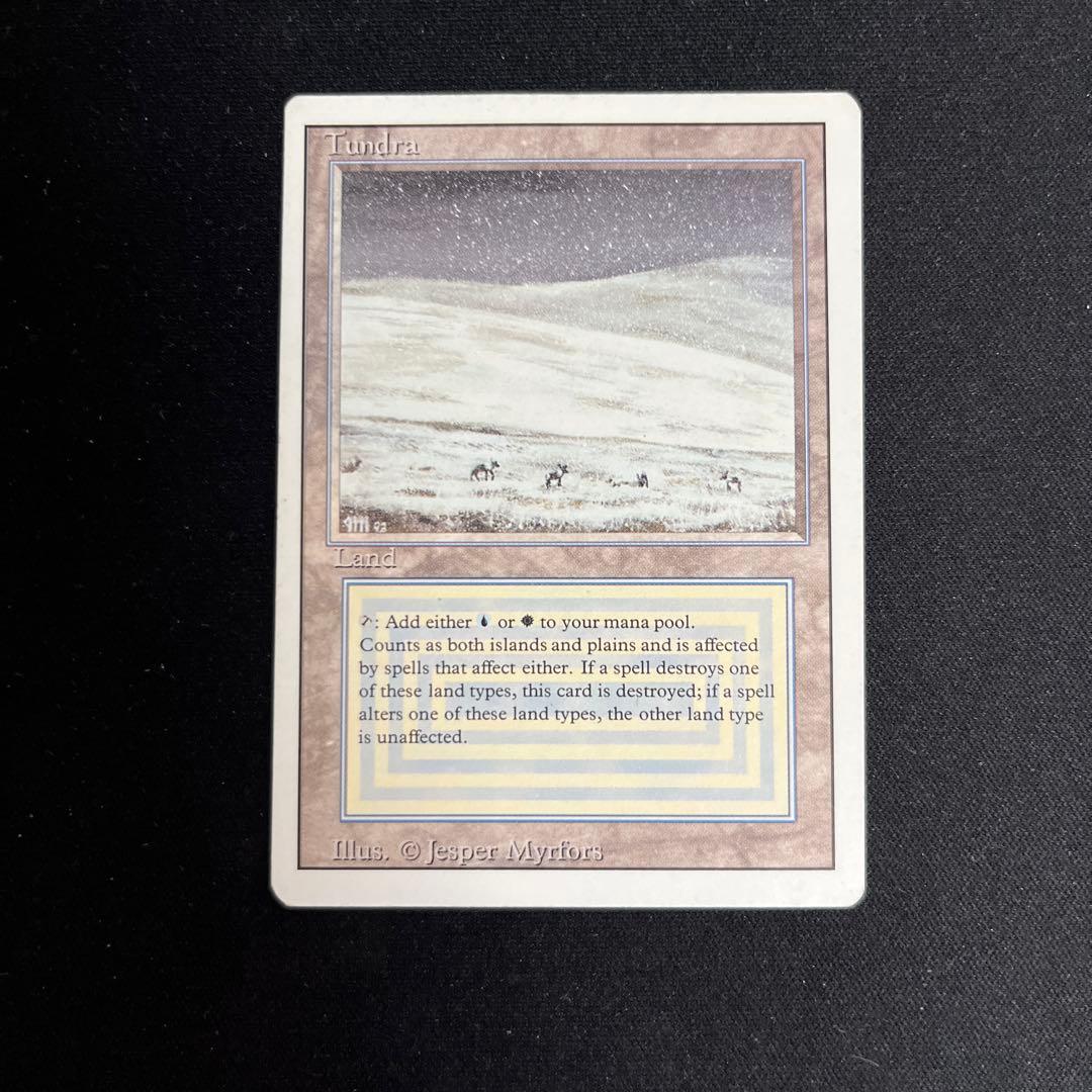 英語版　Tundra PLD]Tundra《英語》【2ED】#219 - カードラッシュ[MTG]