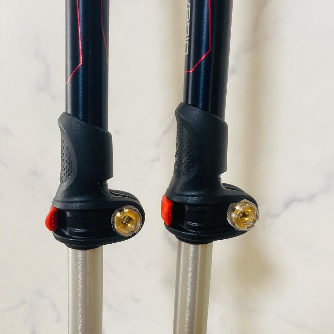 未使用】LEKI レキ RENTAL VARIO 伸縮式スキーポール ストック - メルカリ