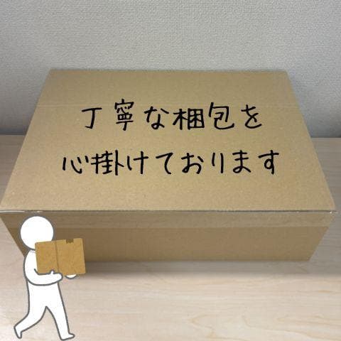 ドローン 1080Pカメラ付き 24分飛行時間 Tomzon 100g未満 申p