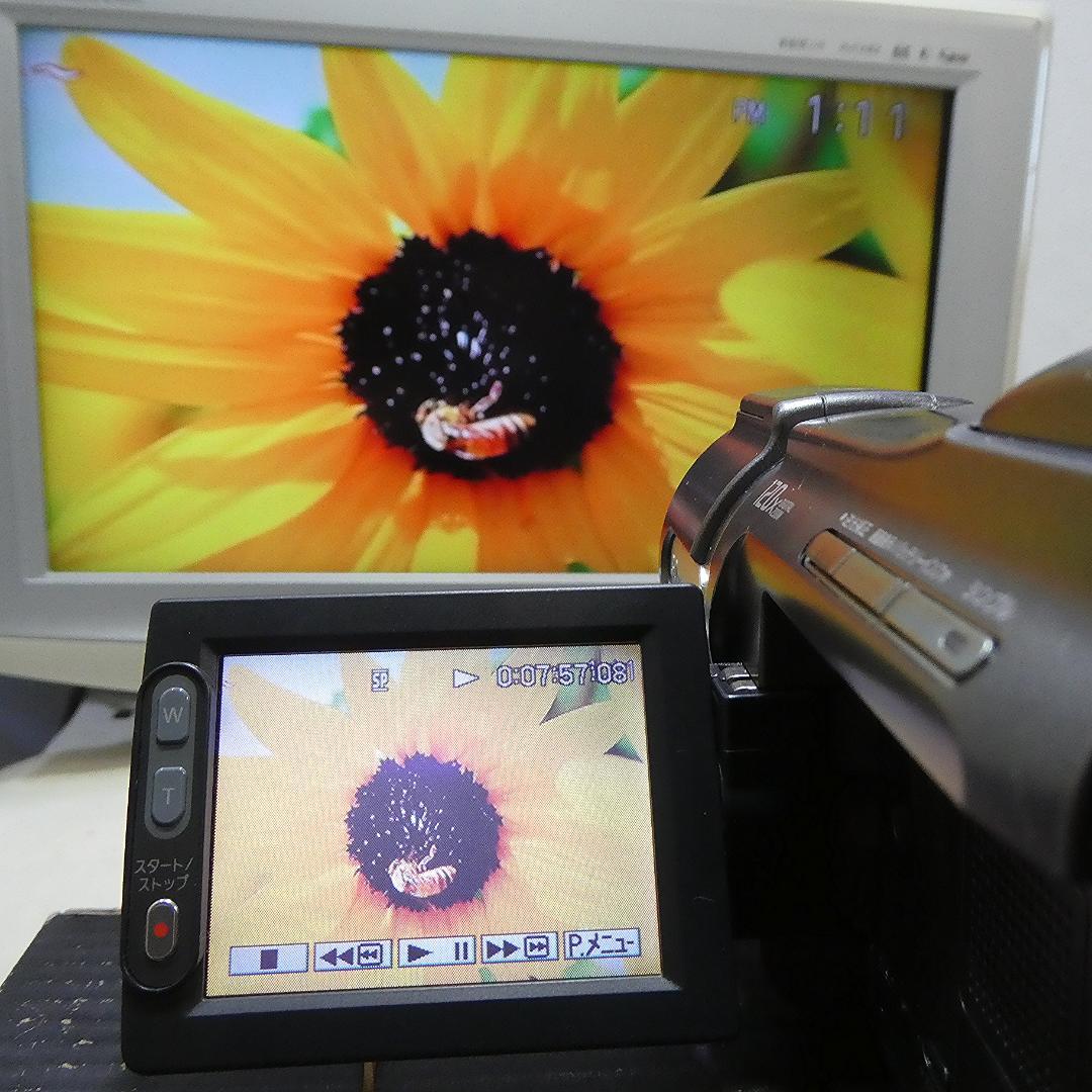 動作品 ソニーDCR-HC88 MiniDV ビデオカメラDVDダビングに最適 - メルカリ