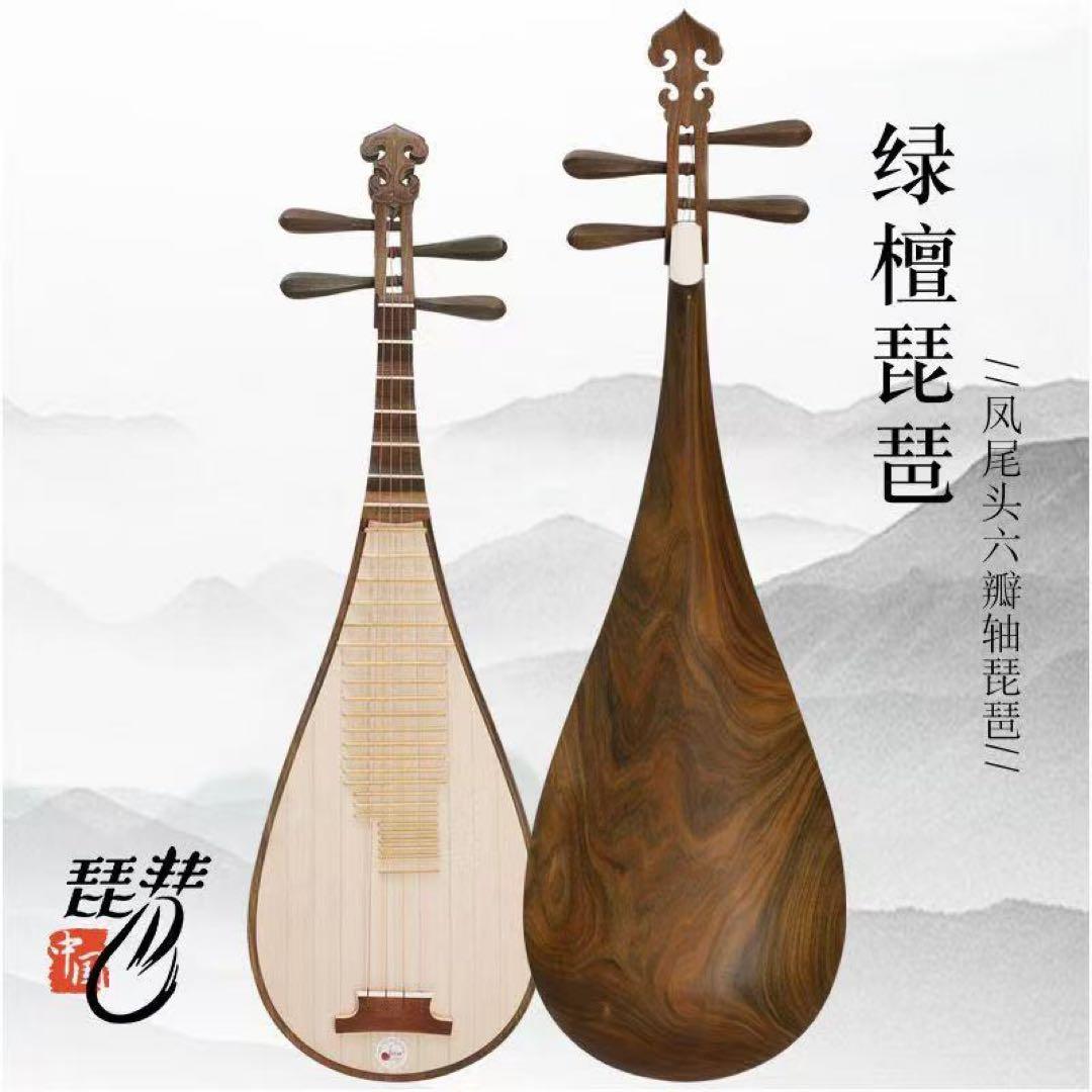 中国琵琶 71xfHbwOdfL._AC_UF350,