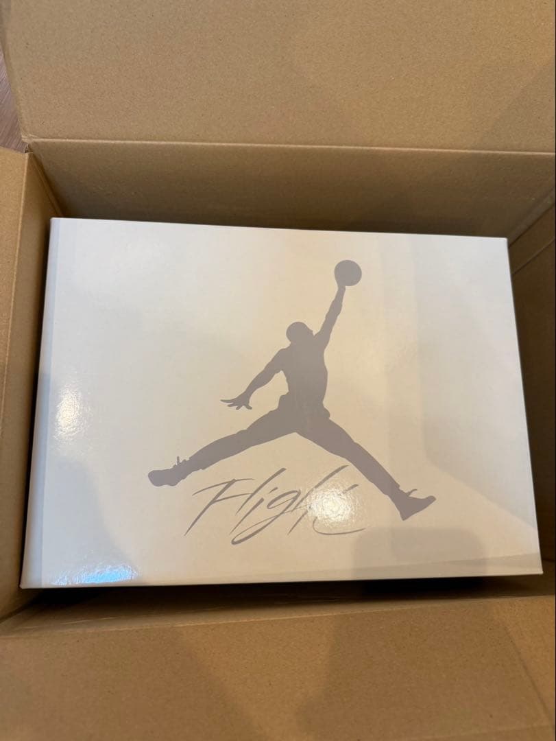 NIKE SB JORDAN 4 ジョーダン4 27.5cm