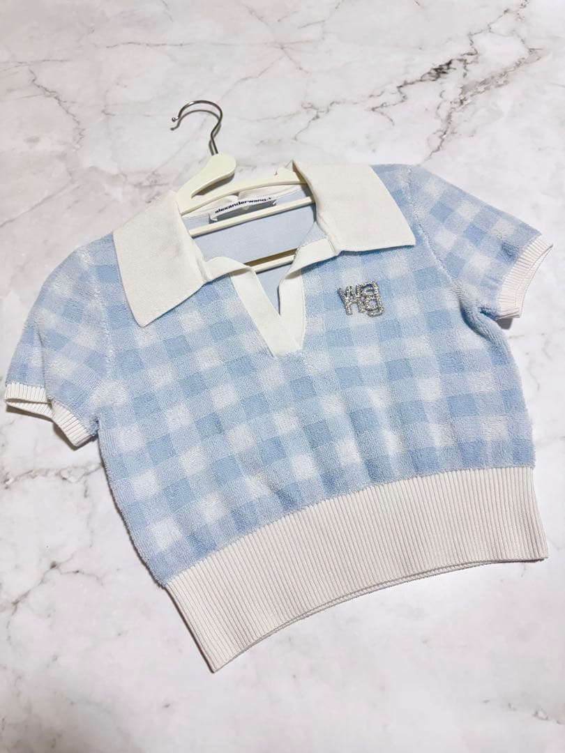 初売り‼️【新春限定価格】Alexander Wang クロップドトップス　美品