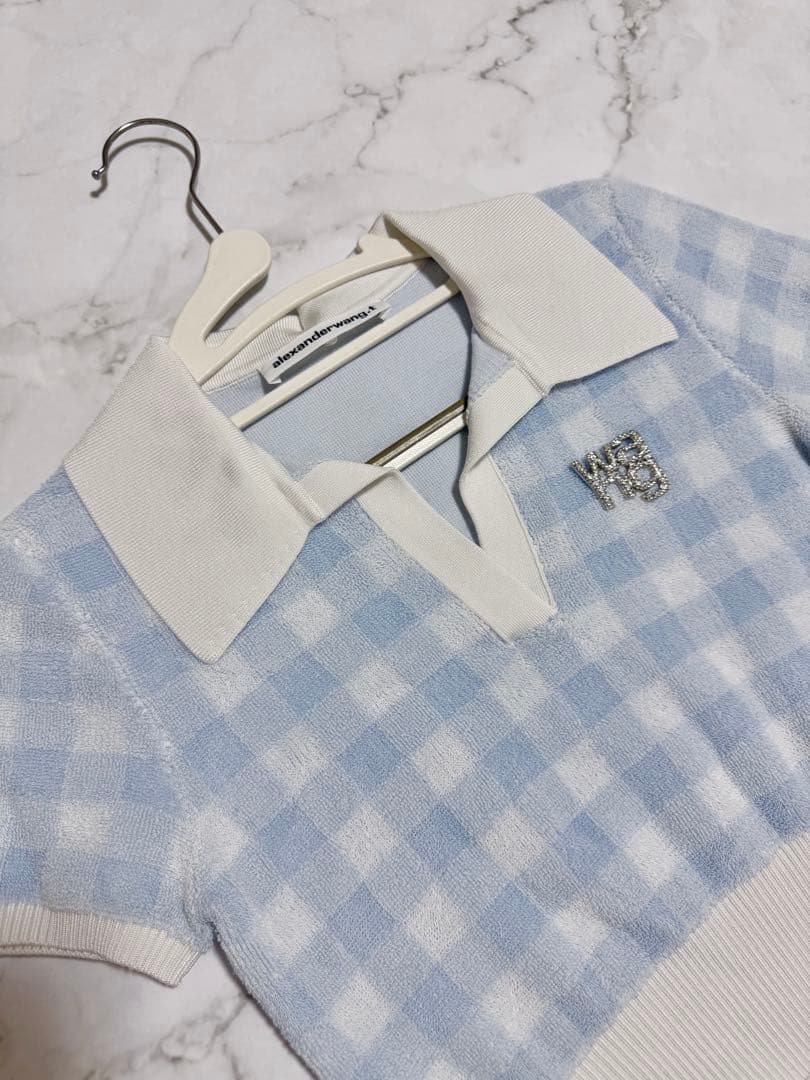 初売り‼️【新春限定価格】Alexander Wang クロップドトップス　美品