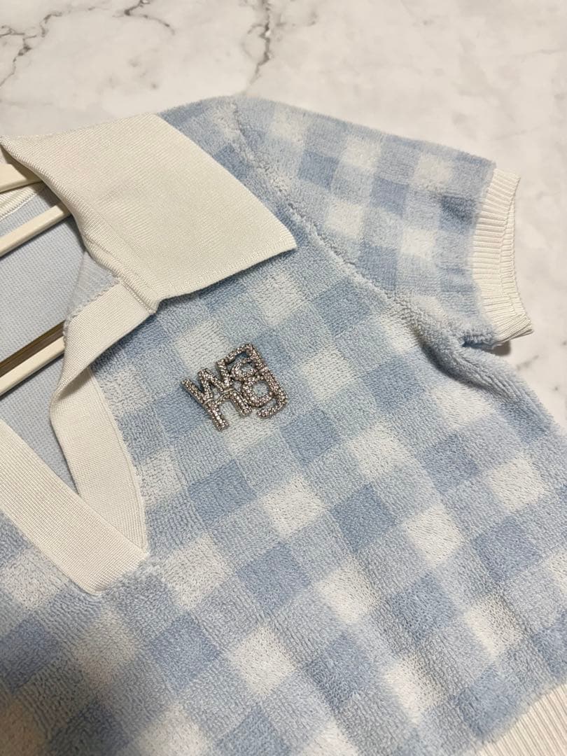 初売り‼️【新春限定価格】Alexander Wang クロップドトップス　美品