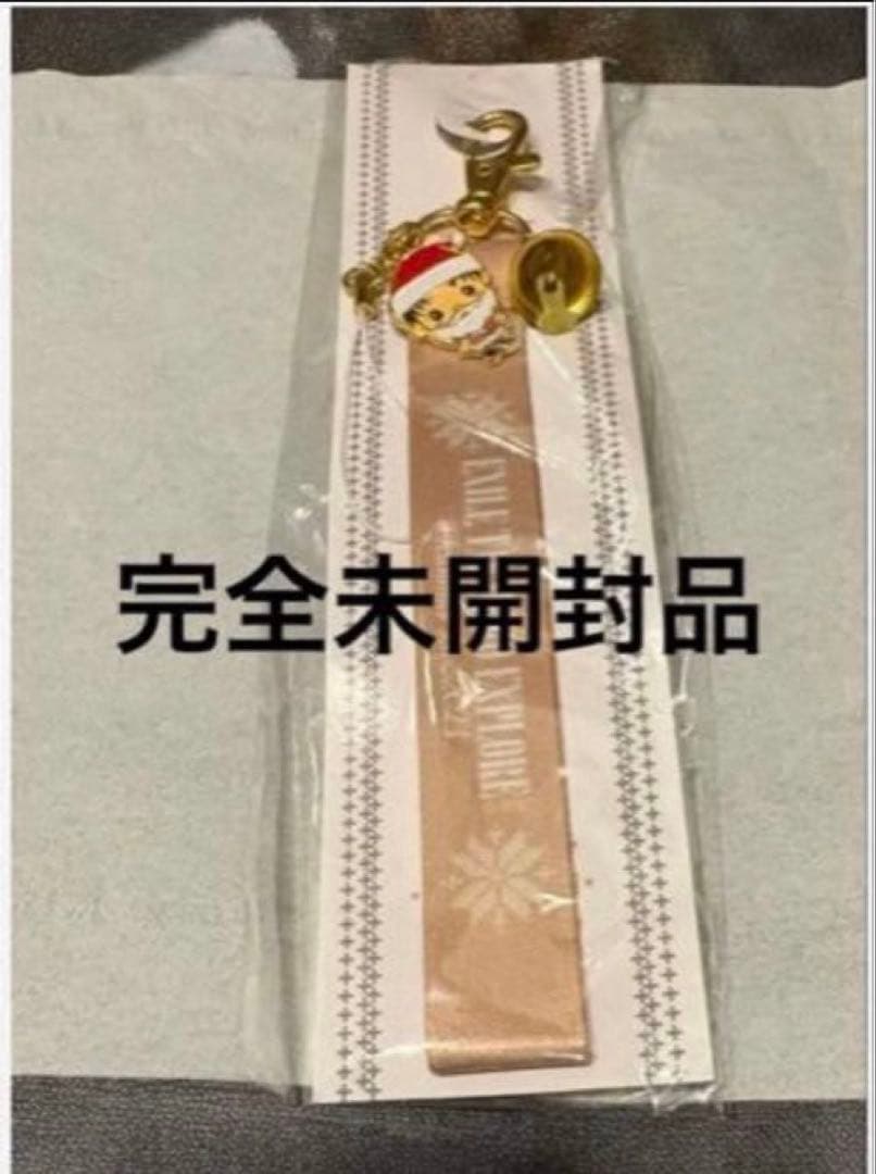 EXILE TAKAHIRO パーカー ペンライト ケース １０点