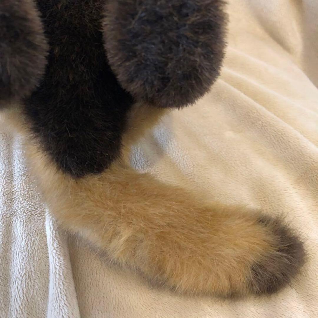 四季オリジナル　リアル　レッサーパンダ　レトロ　ぬいぐるみ