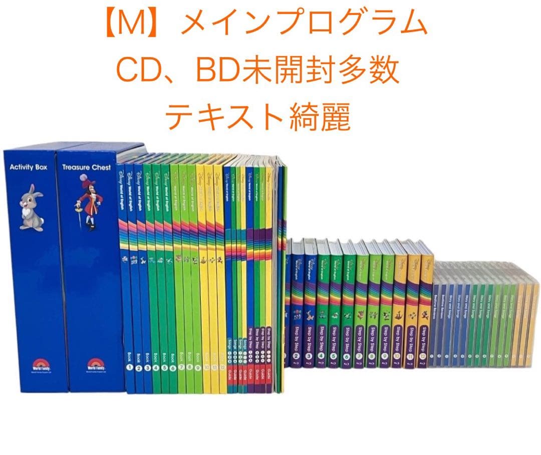 【未開封未使用多数】2025年dwe最新版 MTDSGAQLセット
