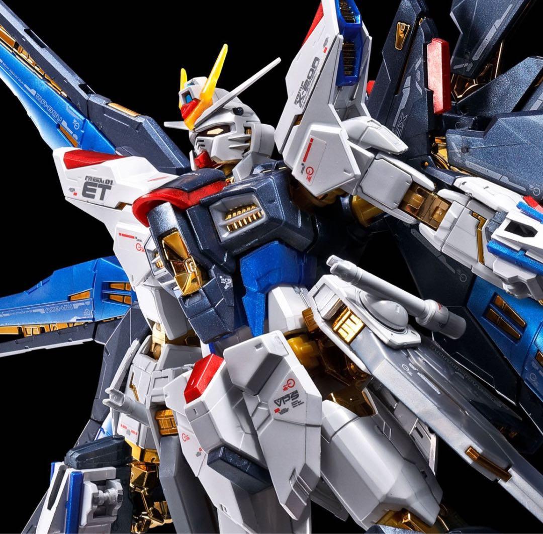 RG1/144ストライクフリーダムガンダム天空の翼セット【チタニウムフィニッシュ Amazon | BANDAI RG 1/144 ストライクフリーダムガンダム[チタニウム