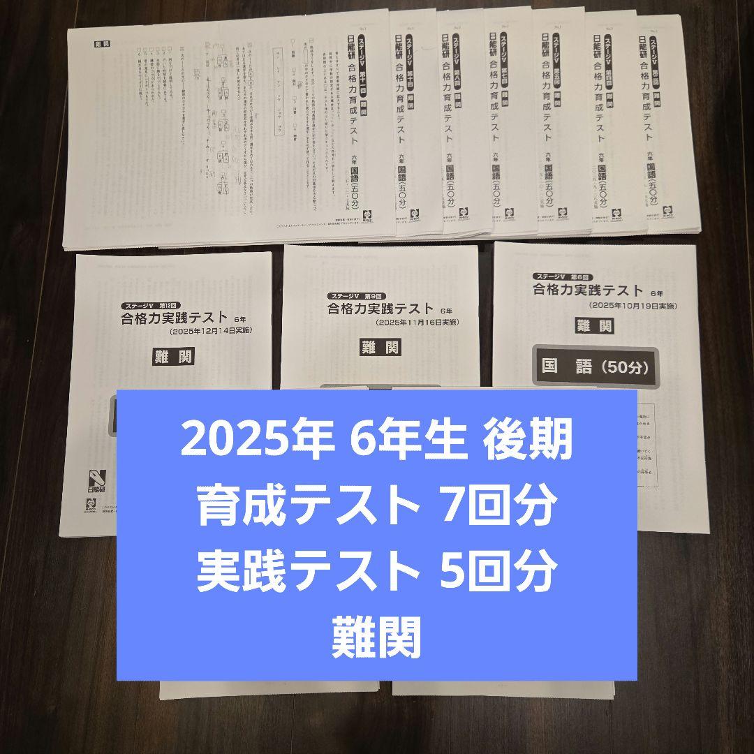 6年 後期 育成テスト 実践テスト 難関 2025年度 日能研 最新版】2025年日能研6年 後期 合格力育成テスト 合格力実践テスト