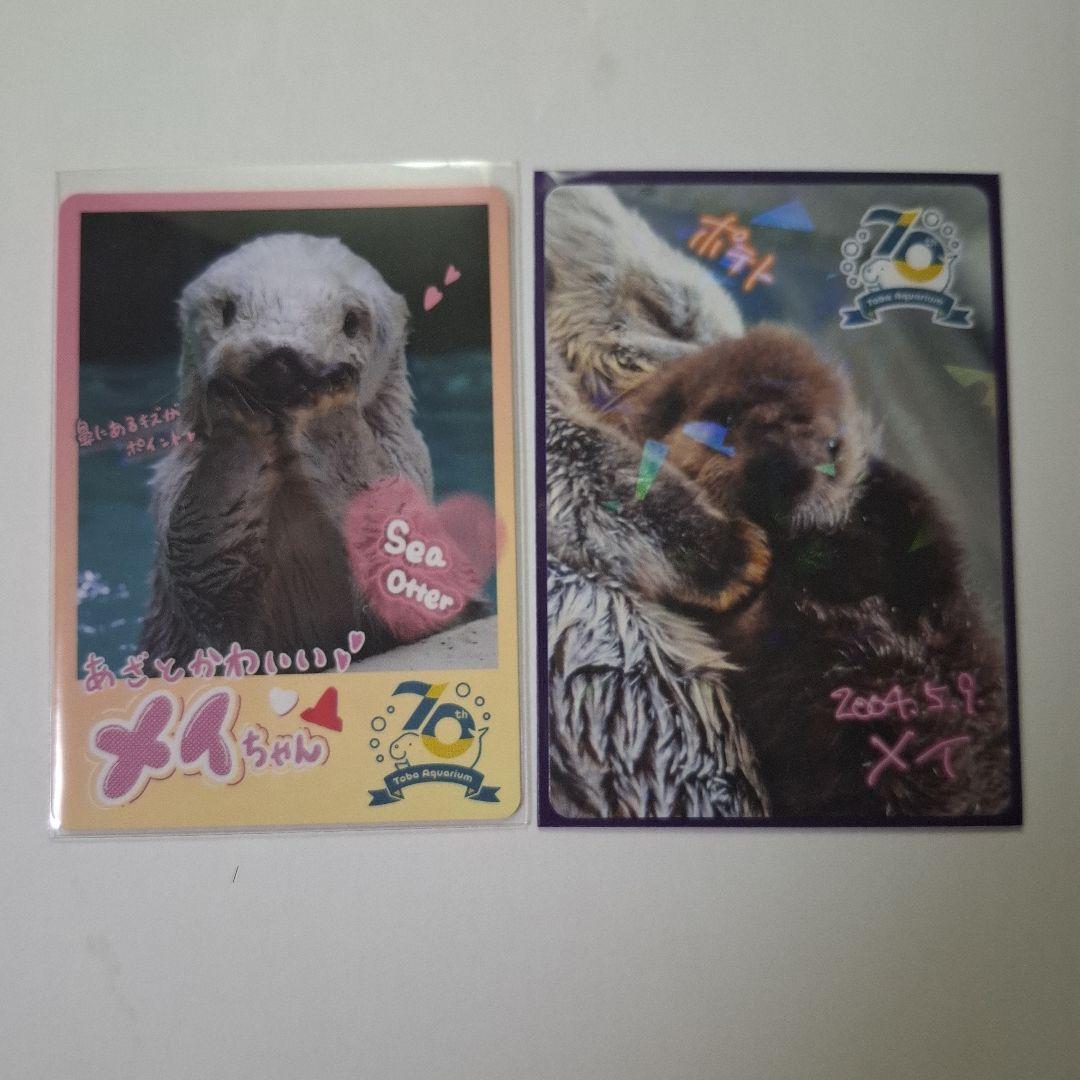 鳥羽水族館　70周年記念コレカ　レア2枚ノーマル2枚メイ☆キラ