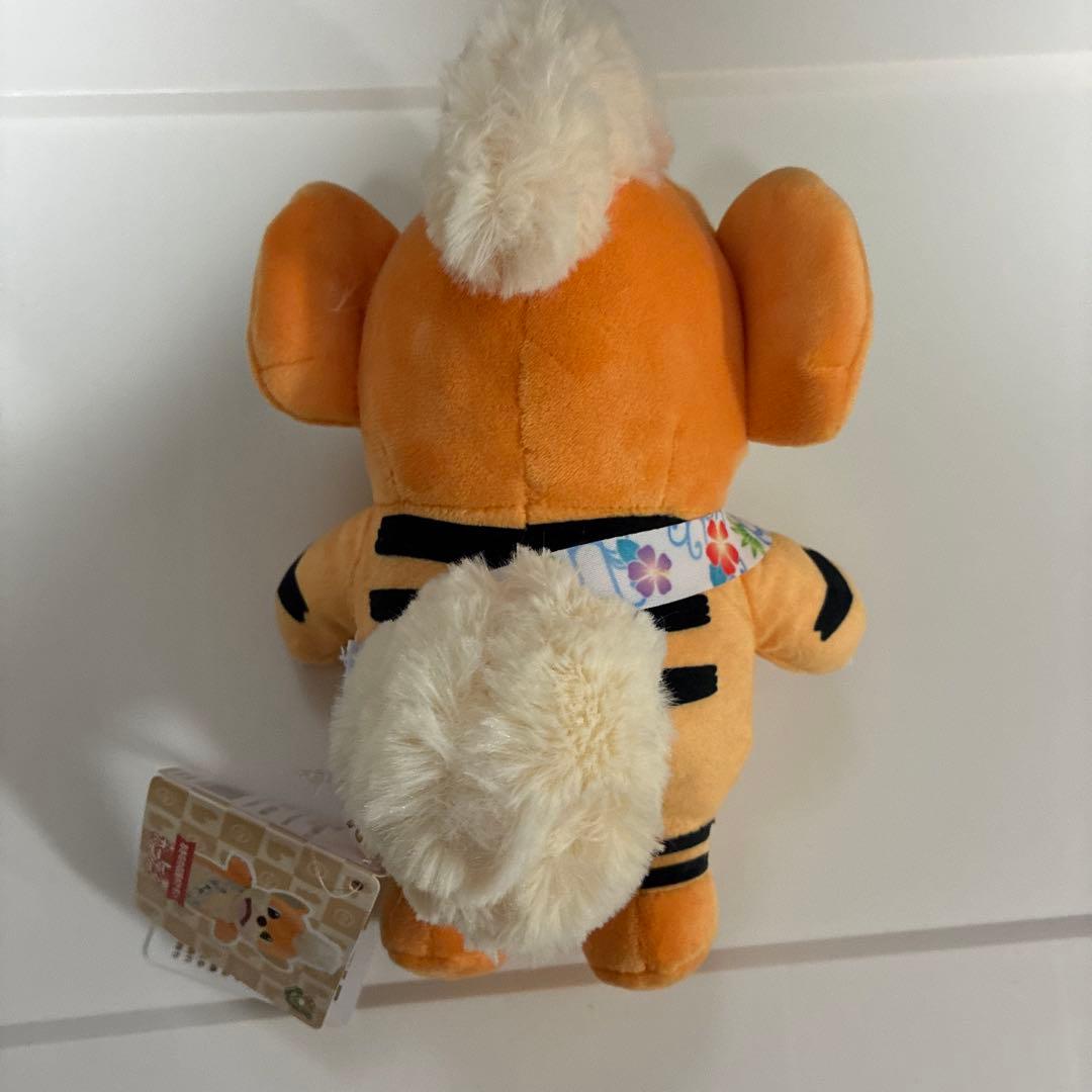 ポケモン 物産展 ローカル Acts おきなわ応援ポケモン ガーディ