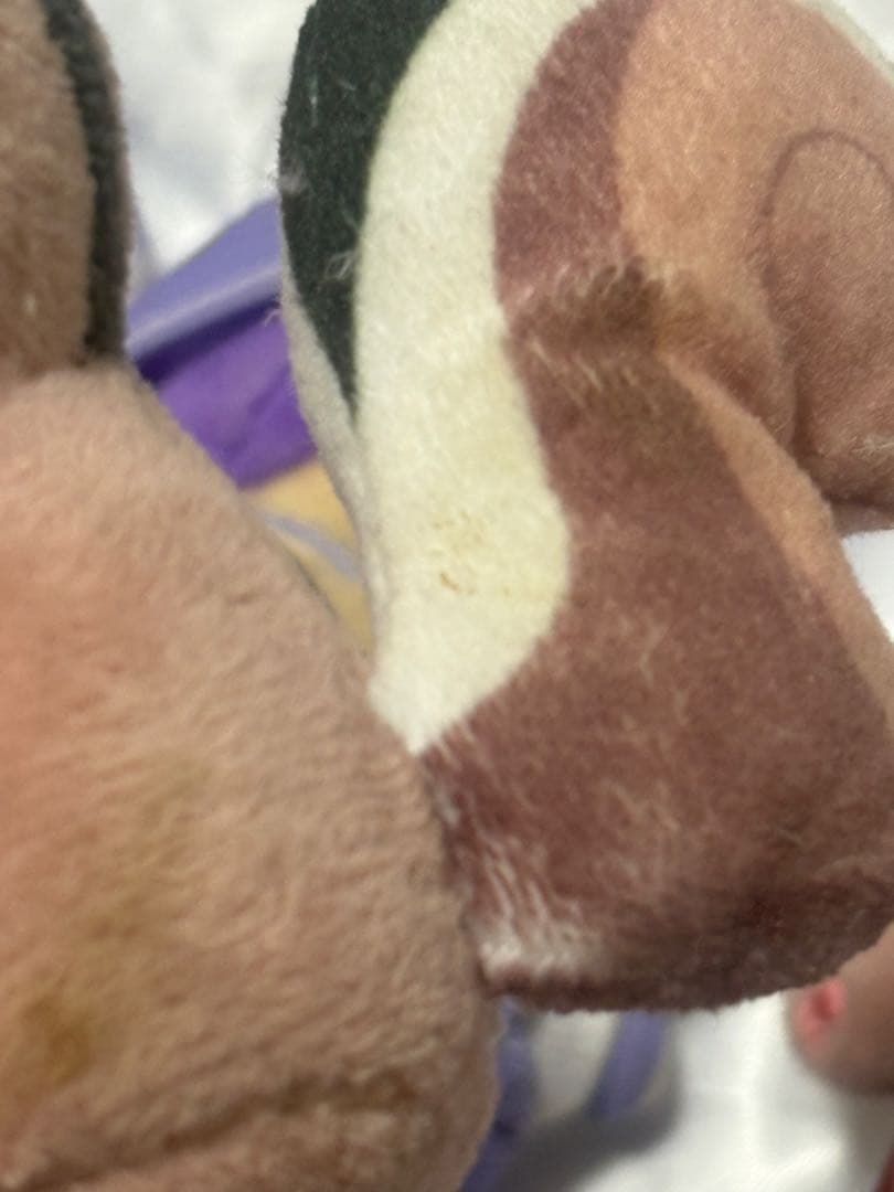 志麻 浦島坂田船 センラ あほの坂田 まぁる うらたぬき