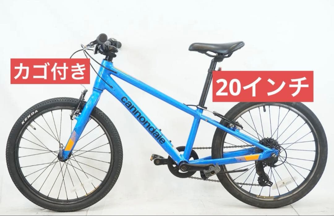 Cannondale 子供用自転車 青 前カゴ付き　キャノンデール　20インチ cannondale kids Quick 20 | セオサイクル南林間店