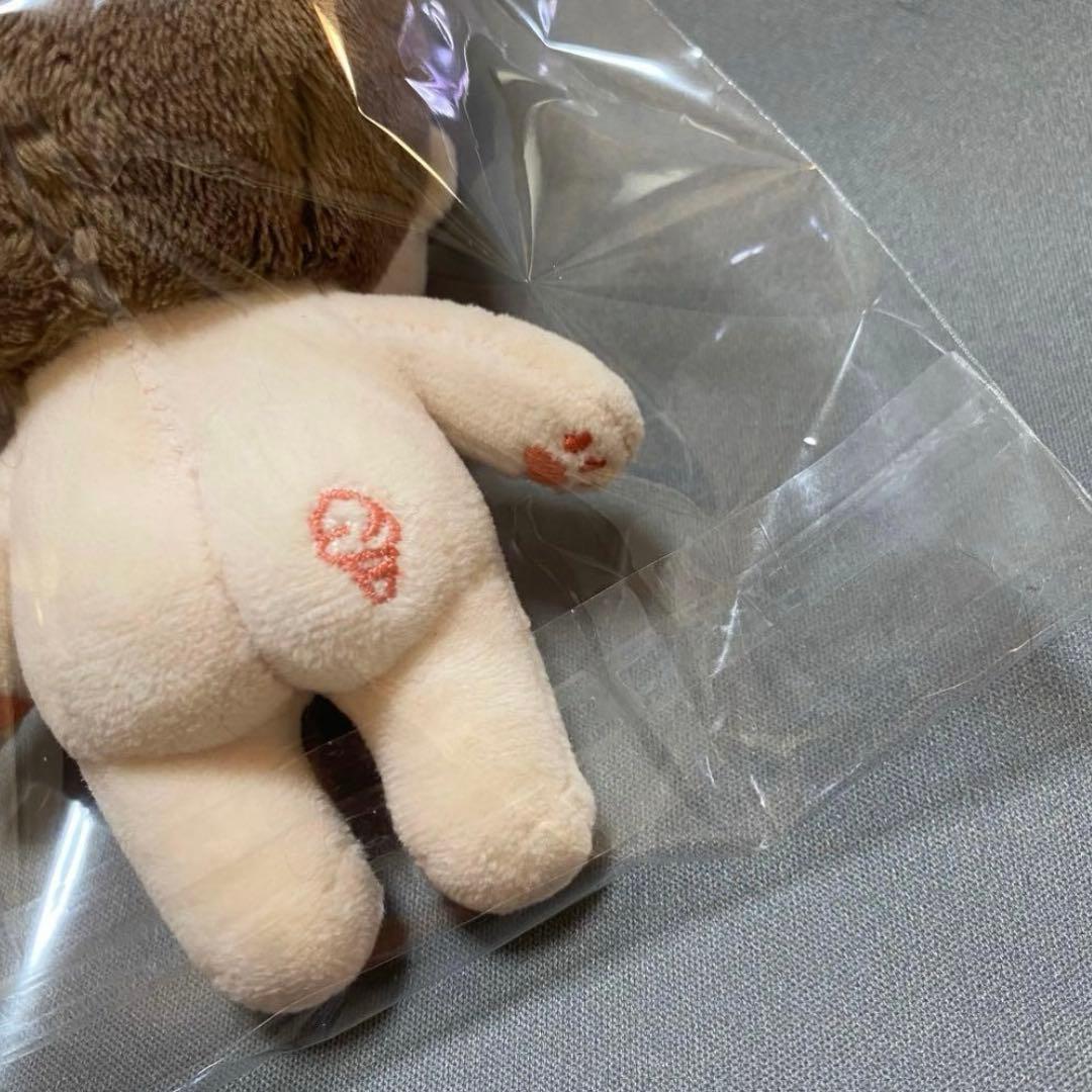 アストロ　Astro チャウヌ　ぬいぐるみ　10cm 新品　マスター