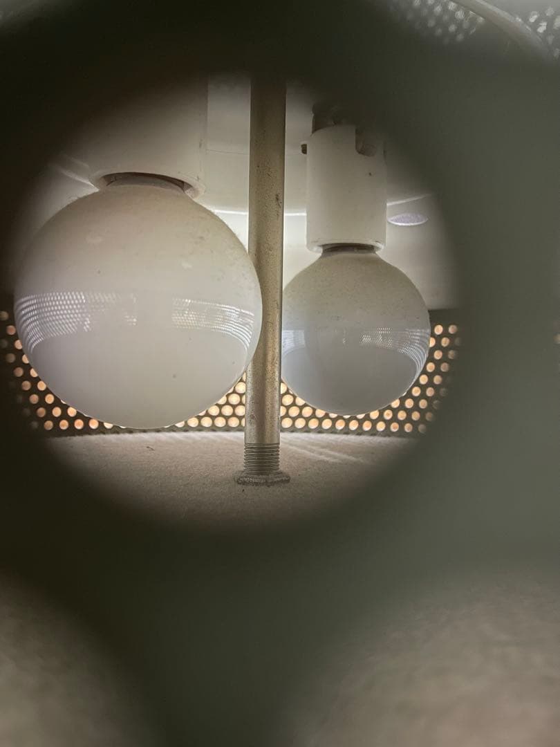 R*e様 アルテミデ フォルマインテルナ フロアスタンド - メルカリ