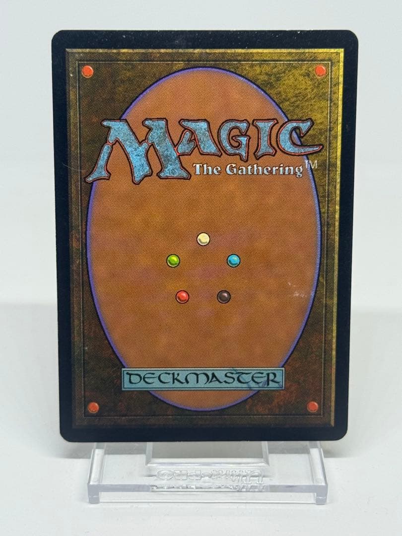 《適者生存/Survival of the Fittest》[EXO]日本語