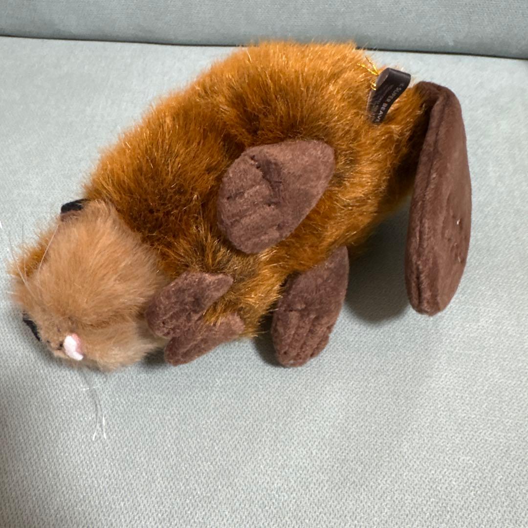 SUPER BEAVER ビーバー ぬいぐるみ