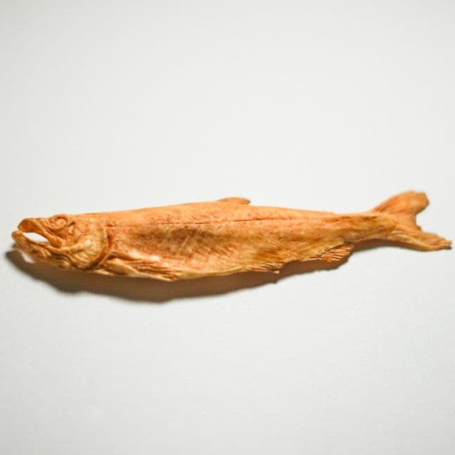 竹谷隆之「干し鮭」レジンキット