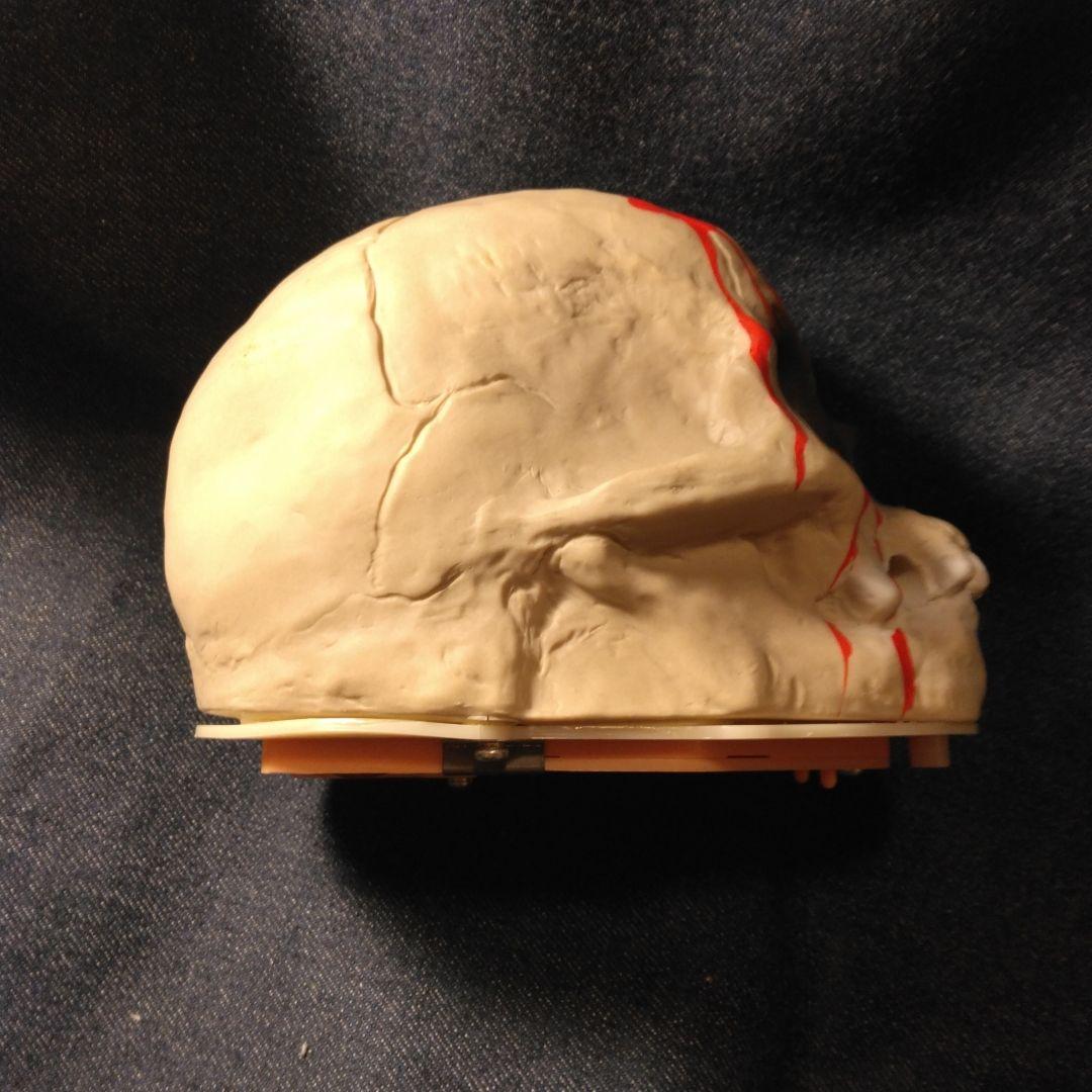 LAUGHING　SKELETON　昭和　ドクロ　スカル　笑う　デッドストック