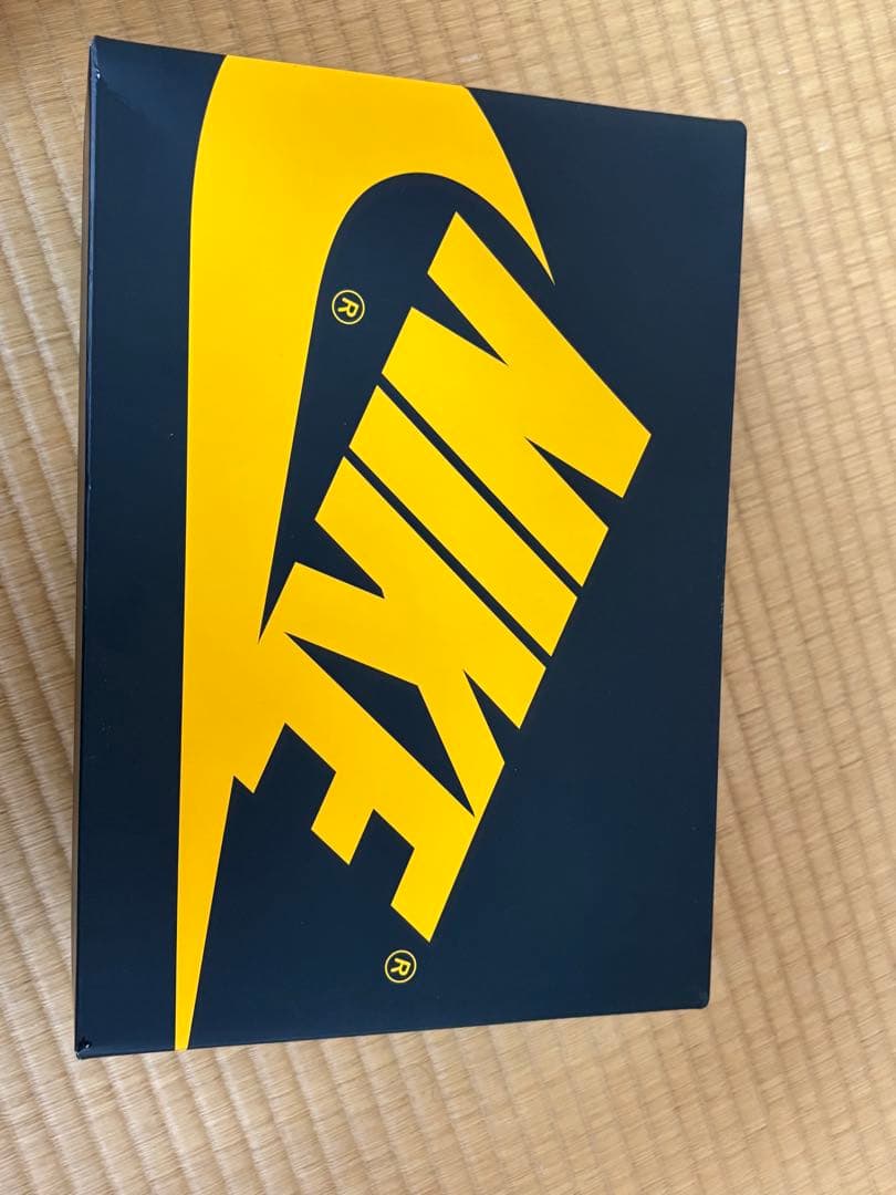 靴 NIKE Air Jordan 1 \"POLLEN\"