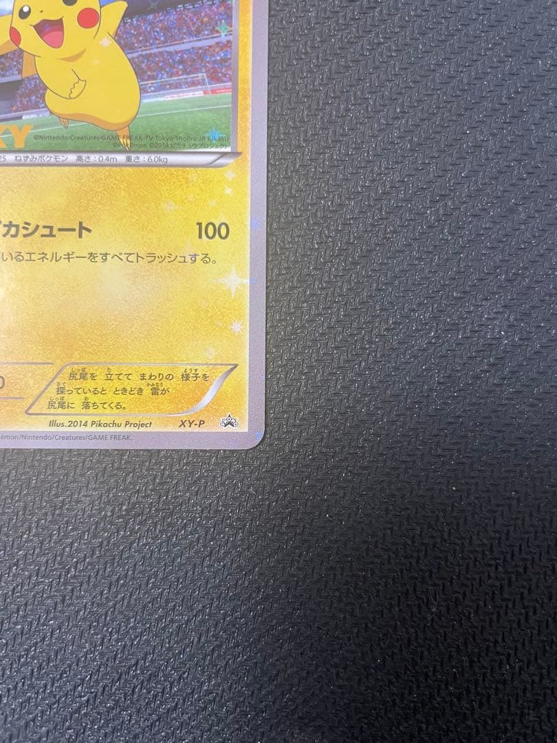 XY-P ピッチのピカチュウ_Jリーグ「ファミリー Joinデイズ」 笑顔版 …