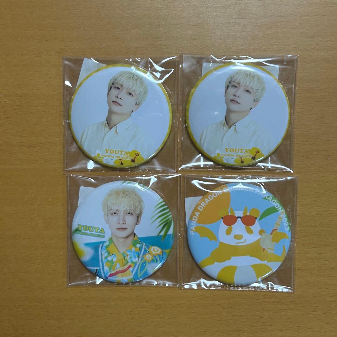 パンダドラゴン パラゴン まとめ売り ぬいぐるみ サイン チェキ 缶バ アクスタ