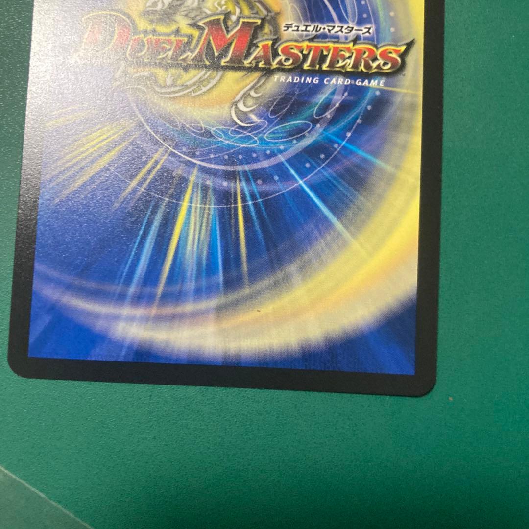 パーフェクトペテンシー シク 1枚 - メルカリ