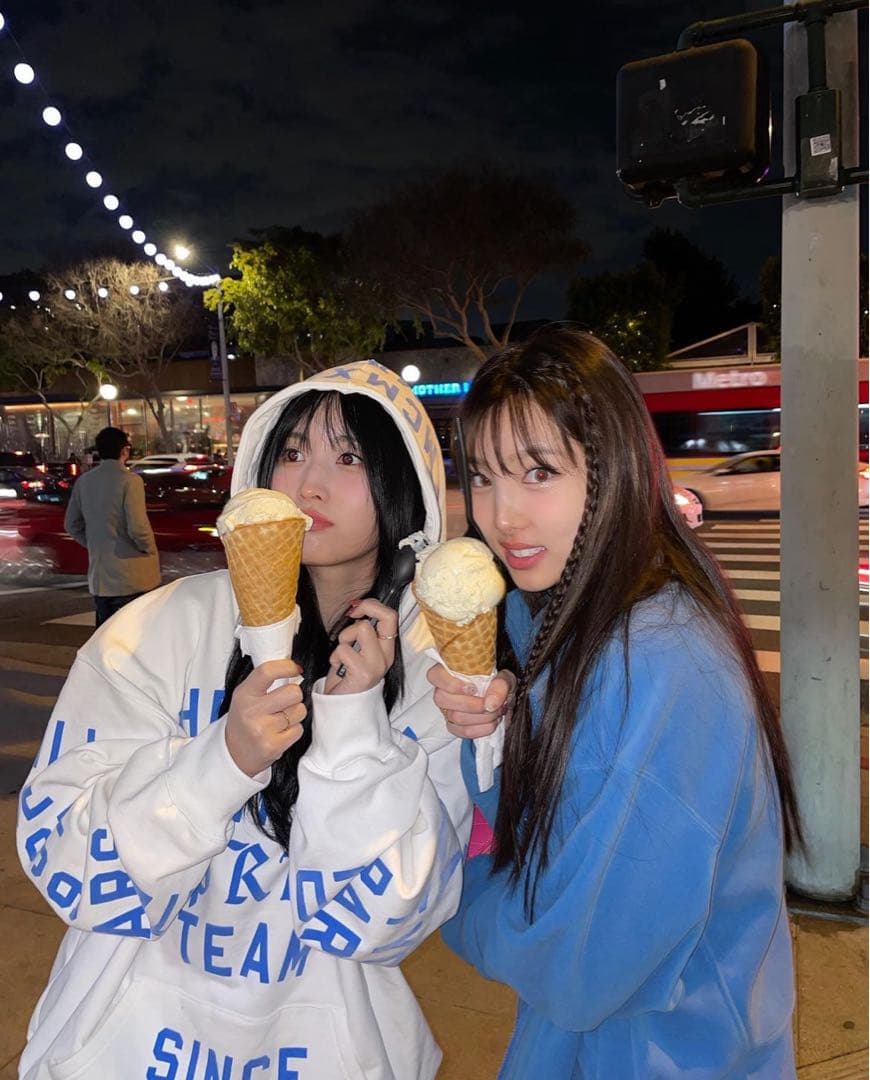 TWICEモモ着用】Supreme Team Flocked Hooded M - メルカリ