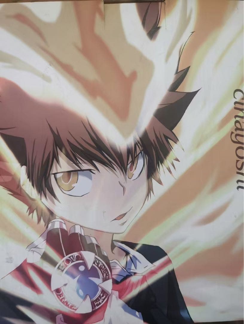 家庭教師ヒットマンREBORN! 沢田綱吉 ガレージキット ガレキ スタチュー③