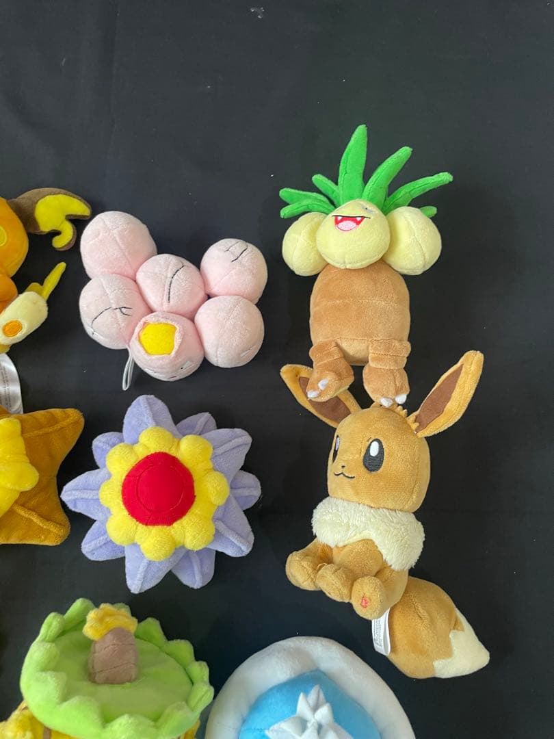 ⚫︎【まとめ売り】ポケモンfit 10体　まとめ売り ポケモンセンター