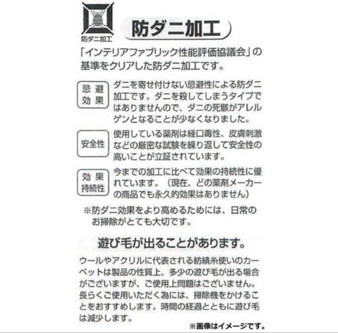 メタモン　ラグ　ぽこあポケモン