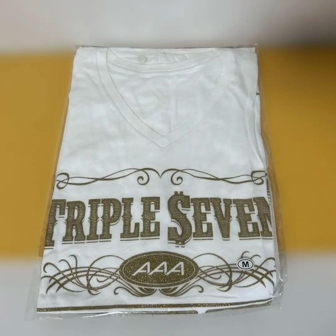 AAAグッズ 15点まとめ売り 「パンフ、ファイル、タオル、Tシャツ、他」